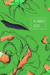Planner 2020 12 Months