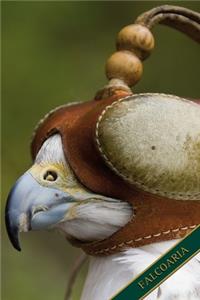 Falcoaria