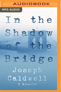 In the Shadow of the Bridge
