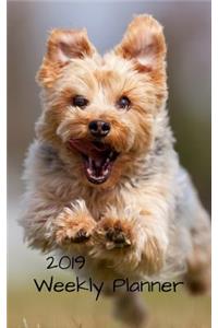 2019 Weekly Planner