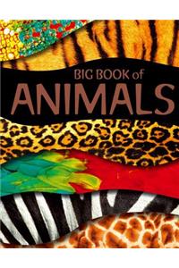 Big Book of Animals