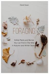 Foraging