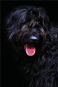 My Black Long Haired Riesenschnauzer Notebook
