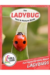 The Ladybug Fact and Picture Book: Fun Facts for Kids About Ladybugs (Turn and Learn)