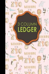 3 Column Ledger
