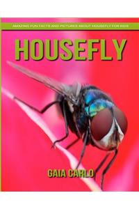 Housefly