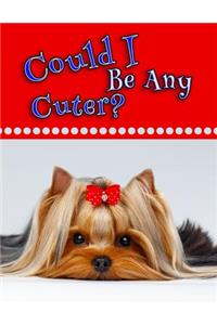 Could I Be Any Cuter?