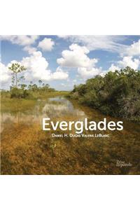 Everglades