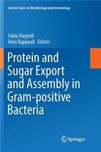 Protein and Sugar Export and Assembly in Gram-Positive Bacteria