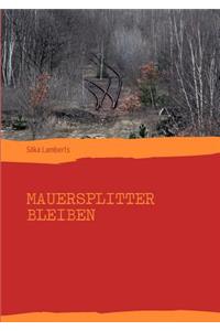 Mauersplitter bleiben