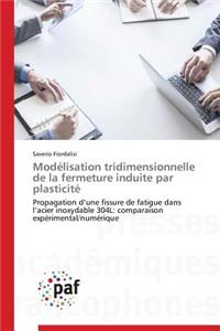 Modélisation Tridimensionnelle de la Fermeture Induite Par Plasticité
