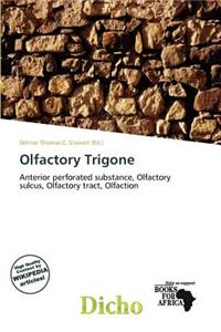 Olfactory Trigone