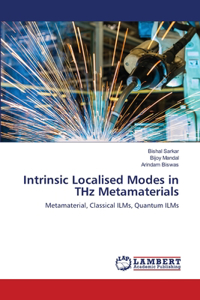 Intrinsic Localised Modes in THz Metamaterials