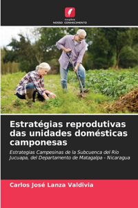 Estratégias reprodutivas das unidades domésticas camponesas