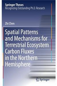 Spatial Patterns and Mechanisms for Terrestrial Ecosystem Carbon Fluxes in the Northern Hemisphere