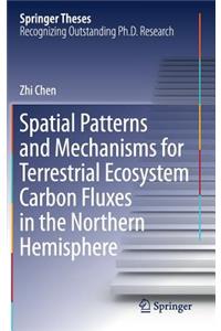 Spatial Patterns and Mechanisms for Terrestrial Ecosystem Carbon Fluxes in the Northern Hemisphere