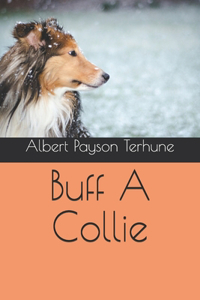 Buff A Collie