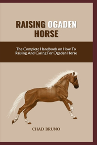 Ogaden Horse