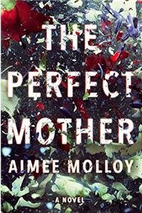 The Perfect Mother: A Novel