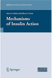 Mechanisms of Insulin Action