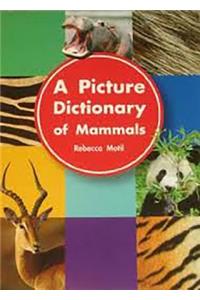 A Picture Dictionary of Mammals