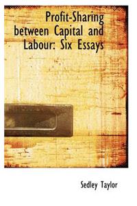 Profit-Sharing Between Capital and Labour