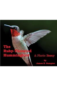 Ruby-throated Hummingbird