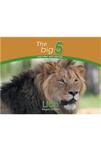 Lion: The Big 5 and other wild animals