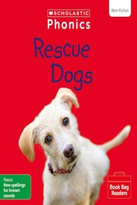Rescue Dogs (Set 9)