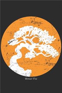 Bonsai Tree