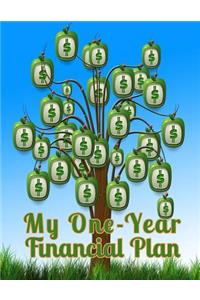 My One-Year Financial Plan