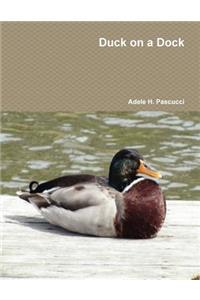 Duck on a Dock