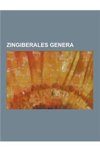 Zingiberales Genera: Alpinia, Calathea, Canna (Plant), Cautleya, Costus, Ctenanthe, Curcuma, Elettaria, Ensete, Etlingera, Hedychium, Helic