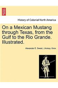 On a Mexican Mustang through Texas, from the Gulf to the Rio Grande. Illustrated.