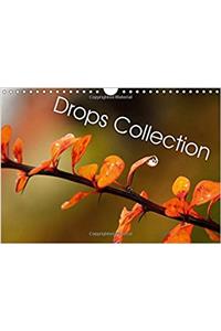 Drops Collection 2017