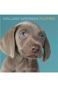 William Wegman Puppies 2019 Wall Calendar