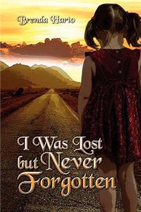 I Was Lost, But Never Forgotten