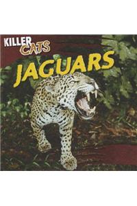 Jaguars