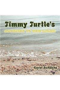 Timmy Turtle's Journey to the Light