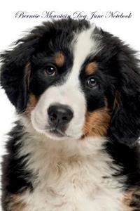 Bernese Mountain Dog June Notebook Bernese Mountain Dog Record, Log, Diary, Special Memories, To Do List, Academic Notepad, Scrapbook & More