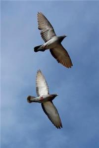 Pigeon in Flight Journal