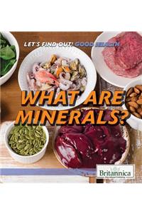 What Are Minerals?