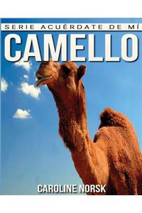 Camello
