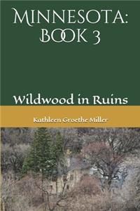 Minnesota: Book 3: A Sequel to Amos Groethe's Inez - How She Made Clear the Way, and Written in His Voice