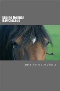 Equine Journal Bay Closeup