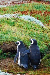 Magellanic Penguin Friends Walking Away Journal: 150 Page Lined Notebook/Diary