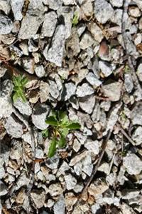 Journal Rocks Pebbles