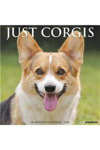 Just Corgis 2020 Wall Calendar (Dog Breed Calendar)