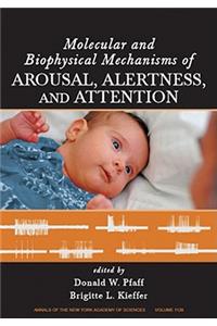 Molecular and Biophysical Mechanisms of Arousal, Alertness and Attention, Volume 1129