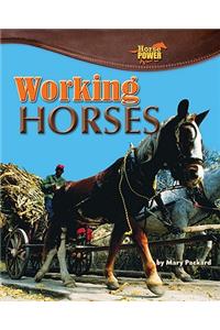 Working Horses